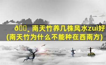 🕸 南天竹养几株风水zui
好(南天竹为什么不能种在西南方)